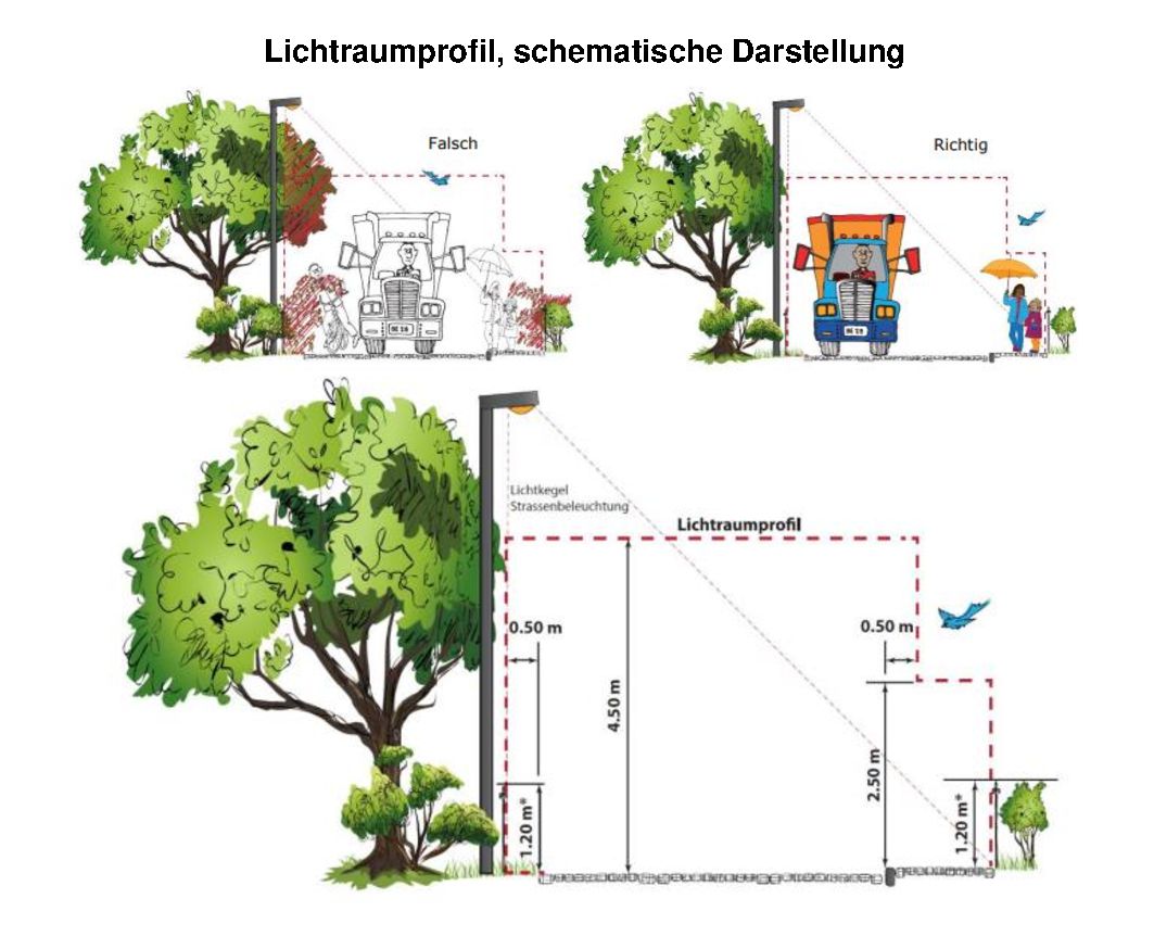 Bild_Rückschnitt von Bäumen Lichtraumprofil schematisch Dargestellt Bild_Rückschnitt von Bäumen Lichtraumprofil schematisch Dargestellt