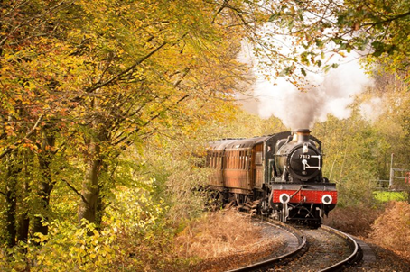 Dampflokomotive im Herbst